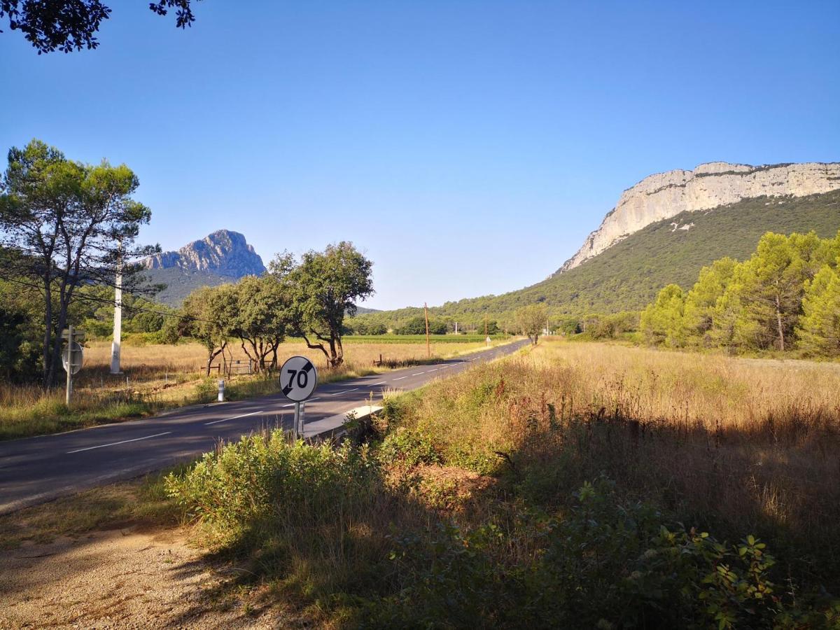 Montcalm Climatise En Plein Ecusson Daire Montpellier Dış mekan fotoğraf